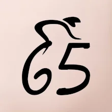 Cyklista oslavuje šesťdesiatpäťku (65)