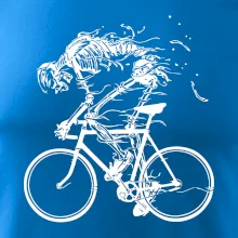 Cyklo kostra Cyklo kostra