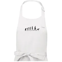 Evolúcia pes stavač Evolúcia pes stavač