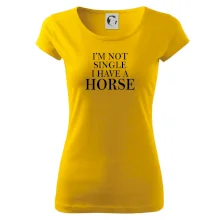 I have a horse I have a horse