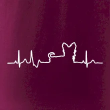 Yorkshirský teriér EKG Yorkshirský teriér EKG