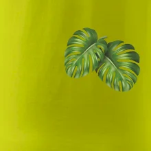 Monstera listy na prsu