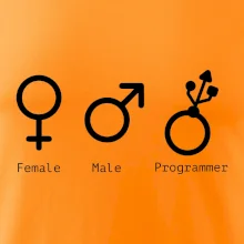 Female male programmer Female male programmer