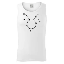 Súhvezdie - Taurus - Býk Súhvezdie - Taurus - Býk