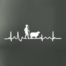 Ekg pastier oviec