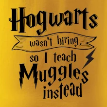 Harry - Hogwarts wasn’t hiring, so I teach Muggles instead