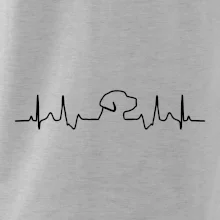 Labradorský retriever EKG Labradorský retriever EKG