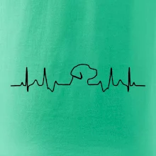 Labradorský retriever EKG Labradorský retriever EKG