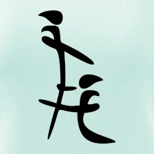 Čínský znak Čínský znak