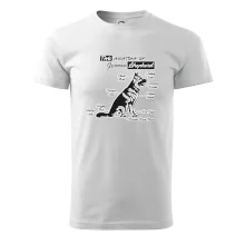 Nemecký ovčiak - Anatómia Nemecký ovčiak - Anatómia