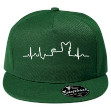 Yorkshirský teriér EKG