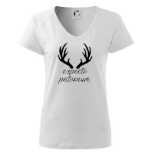 Harry - Expecto patronum Harry - Expecto patronum