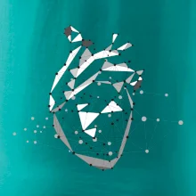 Ľudské srdce Ľudské srdce