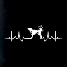 Český strakatý pes EKG