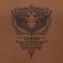 Gemini - vintage