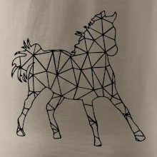 Geometria - kôň Geometria - kôň