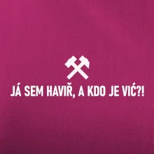 JÁ SEM HAVIŘ, A KDO JE VIĆ?!﻿