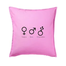 Female male programmer