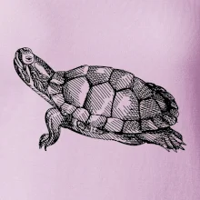 Ceruzkou kreslená korytnačka