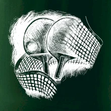 Ping pong rakety a sieť Ping pong rakety a sieť