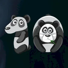 Vek dieťaťa zviera 10