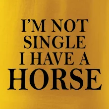 I have a horse
