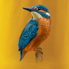 Ľadnáčik kreslený Ľadnáčik kreslený