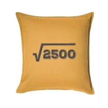 Narodeniny odmocniny 50 Narodeniny odmocniny 50