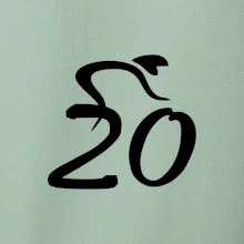 Cyklista oslavuje dvadsiatku (20)