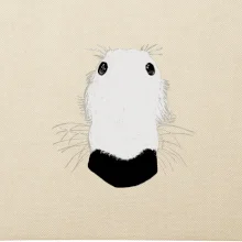 Barzoj čumák (Moňas)