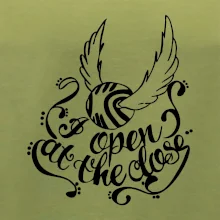 Harry - Zlatá strela