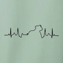 Stafordšírsky bulteriér ‎ EKG