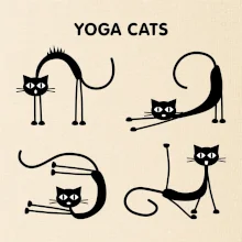 Mačacie jóga (Hana-creative)