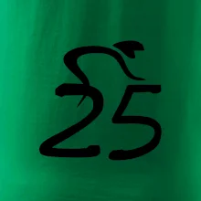 Cyklista oslavuje dvadsaťpäťku (25)