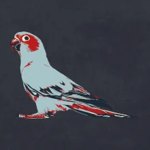 Papoušek vintage Papoušek vintage