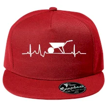 EKG koliesko EKG koliesko