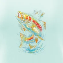 Obrázok pstruh dynamický