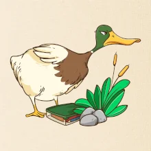 Geokáčer s keškou