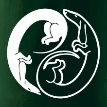 Jazvečíky - Jin jang Jazvečíky - Jin jang