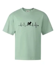 Shiba-Inu EKG