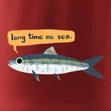 Long time no sea