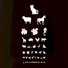 Očný test zvieratká Očný test zvieratká