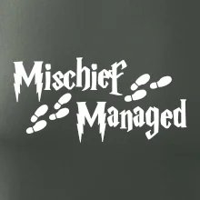 Harry - Mischief Managed