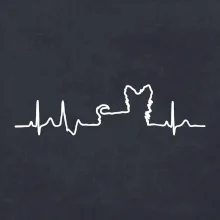 Yorkshirský teriér EKG Yorkshirský teriér EKG