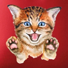 Mačka baf Mačka baf