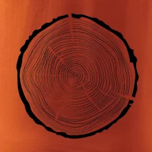 Letokruhy 50 bez veku