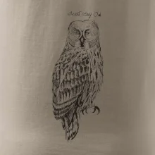 Sova bradatá Barred owl