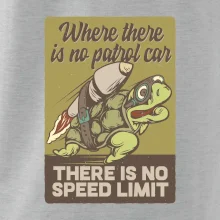 Korytnačka na cestách