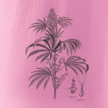 Konope kvietok čiernobiely  