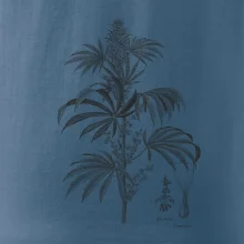 Konope kvietok čiernobiely  